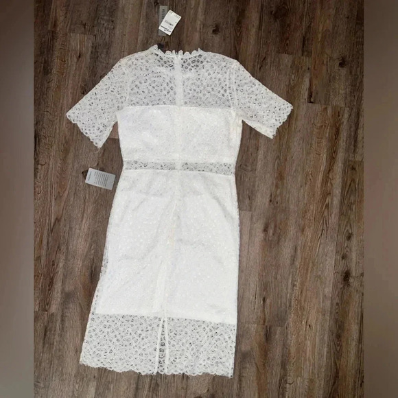 Love x Design • Sheer Panel Lace Dress - size M (8/10) - Picture 12 of 13